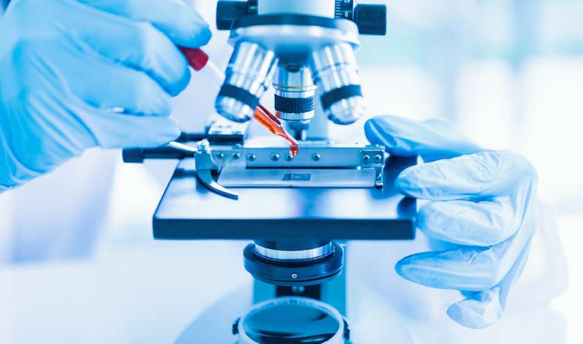 Healthcare & Life Sciences